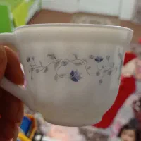 فنجان نو