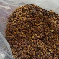 توت خشک|عمده‌فروشی|سنندج, |دیوار