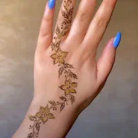 حنا سنتی خالص