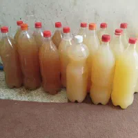 سرکه سیب