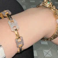 دستند طرح ببر گمشده