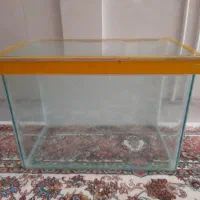 فروش آکواریوم ۶ میلی