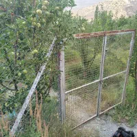 باغ-620-متر-دارای-سند-شش-دانگ