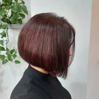 کوتاهی و موخوره‌گیری روسی احیای تخصصی مو