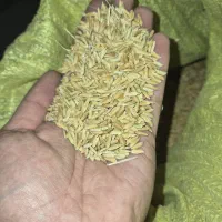 چلتوک اعلا لنجان