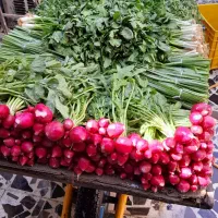 پخش انواع سبزیجات تازه