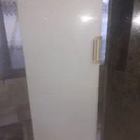 فریز پارس سالم