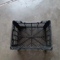 پخش انواع سبد پلاستیکی ،گوجه فرنگی و میوه