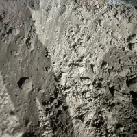 خاک باغچه صفر تا صد گل و گیاه