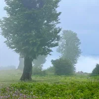 تور یک روزه گیلانگردی