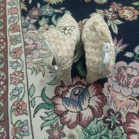 کفش مجلسی
