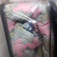 رو تختی دو نفره