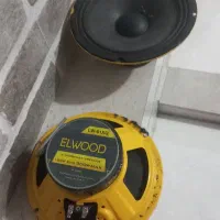 یک جفت میدرنج و تیوتر