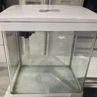 اکواریوم