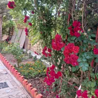 خانه ویلایی سند ششدانگ ملکی