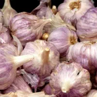 محصولات خانگی تازه امساله