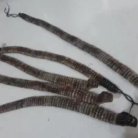 تسبیح.هسته.خرما