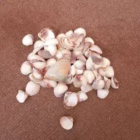 صدف‌اکواریوم