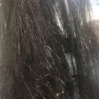 انواع پارچه
