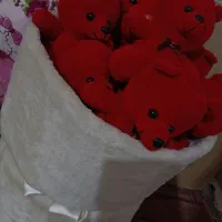 عروسک بوکت خرسی