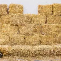پرس کاه به تعداد ۹۰۰ عدد تازه