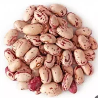 لوبیا چیتی