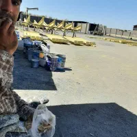 سندبلاست و رنگکار روغنی و حرارتی و اپوکسی