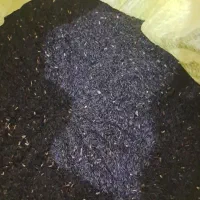 فروش تخم شربتی