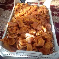 زردآلو خشک ارگانیک.(قیصی)