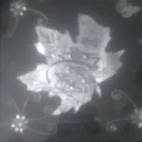 گل تابلو نقره