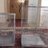 قفس بزرگ طوطی بزرگ