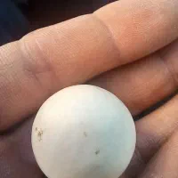 سنگ