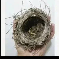 سهره خاکی