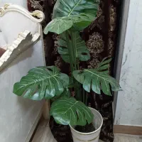 گل وگلدان