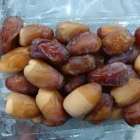 رطب اهرم