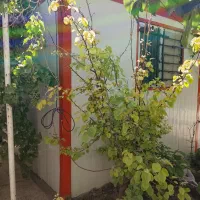 کانکس ۱۵متری کوهستانی کف بتن