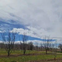 کتاب بانک مهر و  ملی