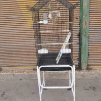قفس شیک پرنده طوطی سانان