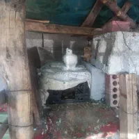 مرغ شاخی