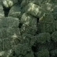 یونجه بسته بندی