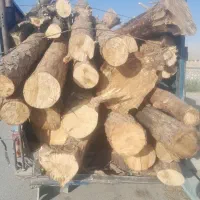 خریدار انواع چوب