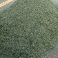 یونجه کوبیده درجه یک پر گل چین 3