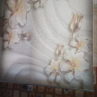 والان و پرده زبرا