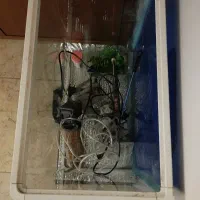 آکواریوم شیشه خم
