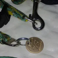قلاده و پاپوش و توپ بازی