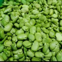 باقالی سبز