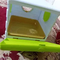 عروس هلندی