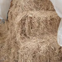 سرچینه|لوازم جانبی حیوانات|پره‌سر, |دیوار