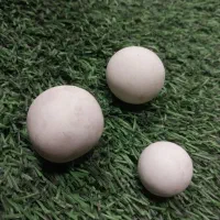 سنگ آسیاب اصل