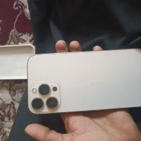 گوشی آیفون 13پرو مگس